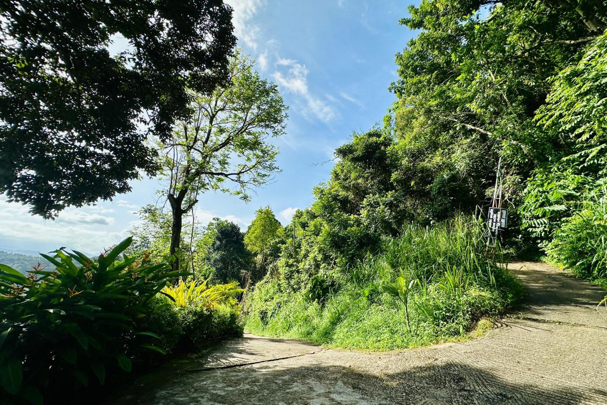 The Hills By First Team Kandy